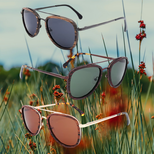 Our Aarron Range Aviator Style Wooden Veneer Sunglasses